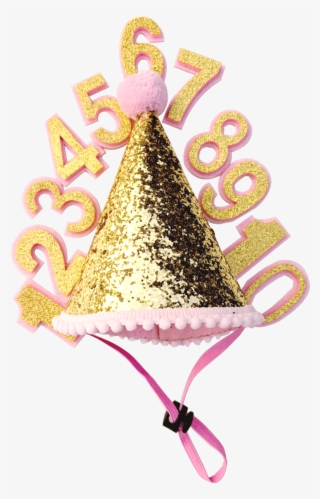 Birthday Party Hat For Dogs - Party Hat