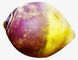 This Png File Is About Brassica Napobrassica , Root - Rutabaga Png