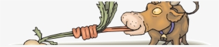 Sexy Turnip - Phoneme
