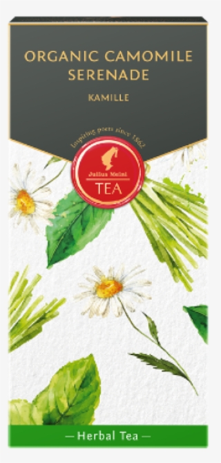 Organic Camomile Serenade - Camomile