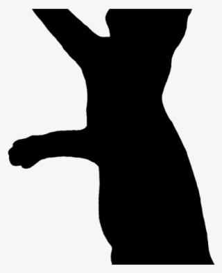 Cats Paws Silhouette - Silhouette