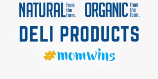 Natural Spicy Bbq Cooked Chicken Breast Deli - Orange