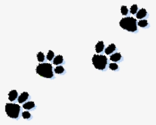 Paw Prints Clipart Cat Paw Print Clipart Kid Clipartix - Clip Art Transparent Paw Prints