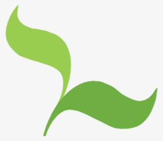 Seedcamp