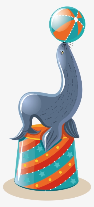 Sea Lion Illustration - Vector Graphics