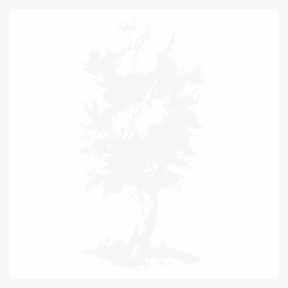 Olivetree - Silhouette