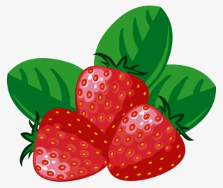 Plantas De Fresa - Strawberry