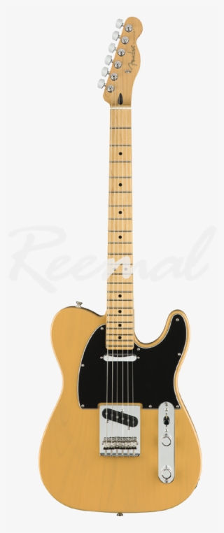 Fender Electric Guitar Player Series Telecaster Maple - Fender Tele Butterscotch Player Series