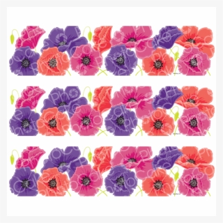 Poppies - Image Strips - Dianthus