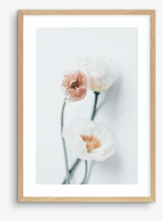 Summer Poppies No 1 - Picture Frame