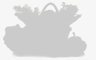 Product Creative - Silhouette