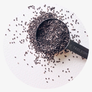 Plant-based Protein It's More Than Just Tofu - Eye Shadow