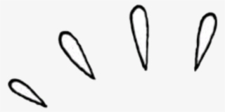 Transparent Photos For Edits