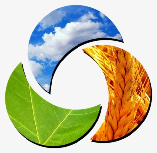 Tres Veces Al Día, Mezclar Las Gotas De H2o En 250 - Circle