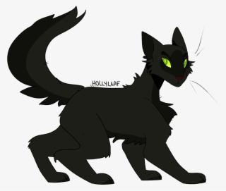 Cat Yawns
