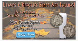 End Of Summer Sale On Mercury Dimes - نحتاج ان نكون مثل فصل الخريف