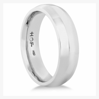 Coupled Metal Band - Titanium Ring