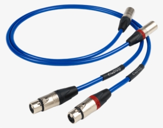 The Chord Company Xlr Cable Chord Company Clearway - The Chord Company