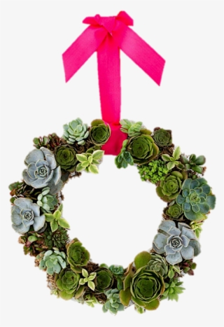 Living Succulent Wreath - Wreath