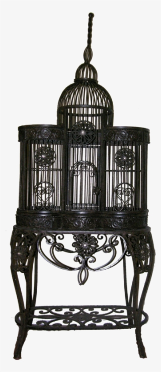 Fancy Bird Cage