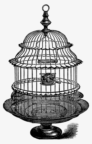 Birdcage Clipart Grey - Birdcage