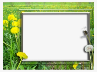 Dandelions Frames - Picture Frame
