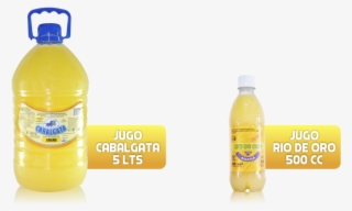 Jugos-anana - Plastic Bottle