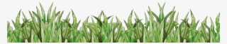 Field Clipart Cornfield - Corn Field Transparent