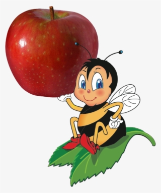 Bee Eating A Apple