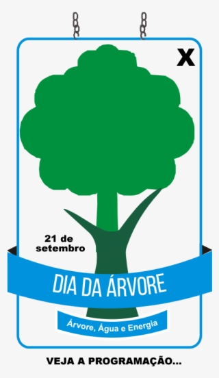 Guilherme Ferreira Santos Silva, Aluno Do 9º Ano Da