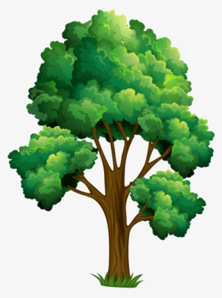 Elm Tree Clipart - Realistic Tree Clip Art