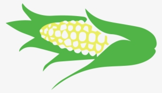 Corn Maze - Illustration