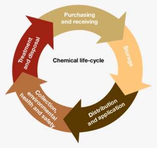 Functions Of The Ministry Of Health In The Chemicals - Slogan On Risk Management