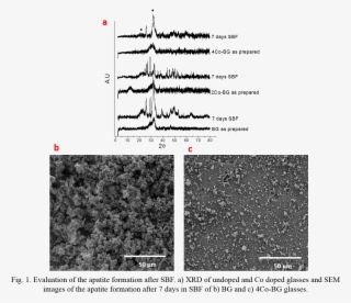 To Evaluate The Ion Release Is Important To Control - Igneous Rock