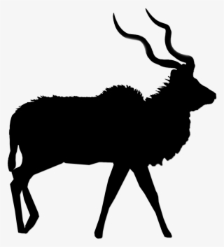Student Safaris Logo - Deer Silhouette Vector