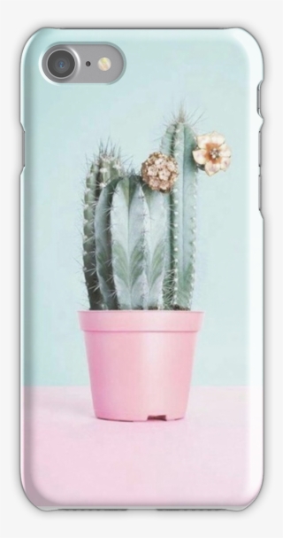 Cute Cactus Iphone 7 Snap Case - Pastel Cactus