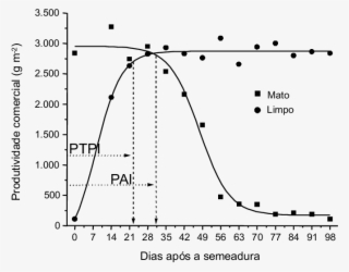 -estimativa Dos Períodos De Interferência Da Comunidade - Order Of Electrochemical Reaction