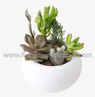 Añadir A La Lista De Deseos Loading - Planta De Oficina Png