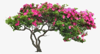 Arbusto Sticker - Cay Canh San Vuon