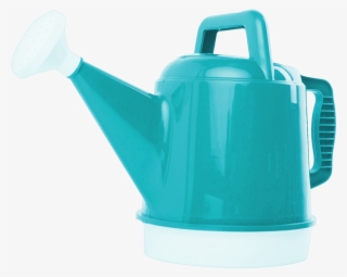 Calypso - Watering Can