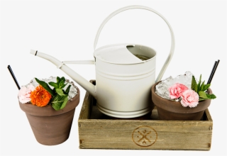 Bulls Head Repton Cocktails