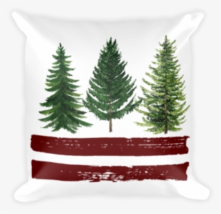 Evergreen - Christmas Tree