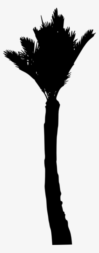 Free Png Palm Tree Silhouette Png - Silhouette