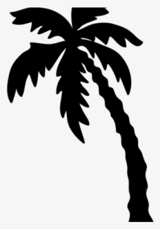 Silhouette
