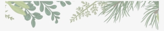 Holidaybackground-01 - White Pine
