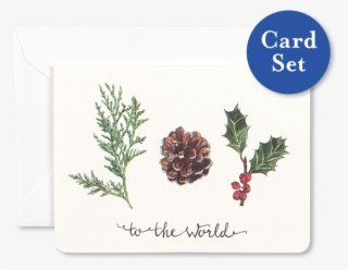 Nature's Joy Mini Card Set Of - Mexican Pinyon