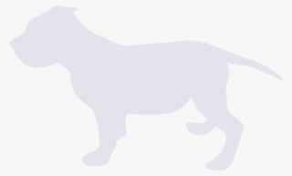 Cachorro Fondo - Dogo Argentino