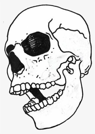 Skull Copy