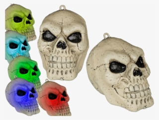 Plastic Skull With Colour Changing Led Ca - Skull