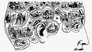 970 X 546 9 - Mind In Head Png